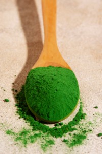 Poudre de spiruline naturelle en contenant plastique, qualité alimentaire, riche en protéines, approvisionnement en vrac pour l'industrie alimentaire fonctionnelle et le bien-être Warrly - Product Image 2