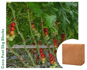 Bloc de 5kg de tourbe de coco avec la meilleure qualité pour la pelouse - Product Image 5