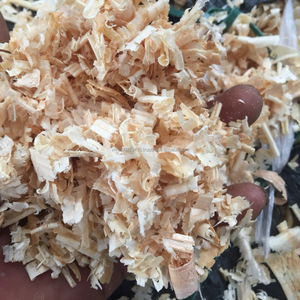 Sciure de bois et copeaux de bois 100% PIN |   Utilisation du système de chauffage |   4200J Calorie |   Frais Propre Sec |   Ventes en gros et commandes de grande quantité - Product Image 2