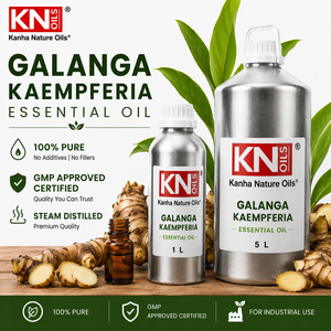 100% Best Quality Galanga <b>Essential</b> <b>Oil</b> Bulk Manufacturer Kaempferia Galanga Cosmetic Grade Organic Certified Global Exporter - Product Image 4