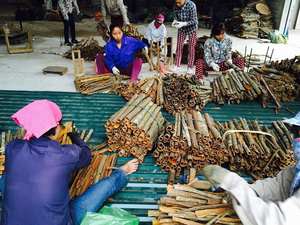 ลดกระหน่ำ!!! ผงขี้เหล็กมาตรฐาน2024_EXPORT จากเวียดนาม - Product Image 5