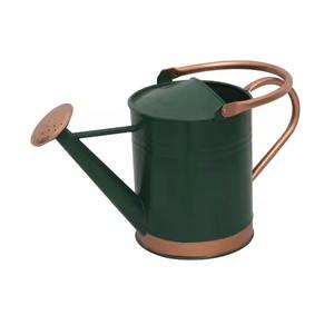 Arrosoir en métal au fini moderne, arrosoir en acier inoxydable pour plantes - Product Image 3