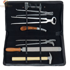 Kit de Herramientas de Herrador de Acero Inoxidable Duradero, Juego de 8 Instrumentos Veterinarios, Diseño Personalizado Disponible, CHAMPION HORSE CO CHC-FTK-01 - Product Image 1