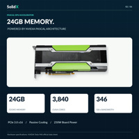 NVIDIA P40 24GB GDDR5 GPU, P40 24GB GDDR5 Server-Beschleuniger, P40 Rechenkarte für KI-Inferenz und Datenverarbeitung