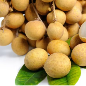 เนื้อมะม่วงหิมพานต์แห้งธรรมชาติจากแม่น้ำเมกง ไม่ใส่สารกันบูด - Product Image 1