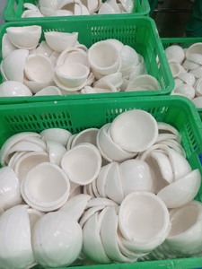 IQF Frozen Coconut Meat Vietnam Natural Ingredient For Food Processing <b>Dessert</b> Smoothie And Cooking Use - Product Image 4