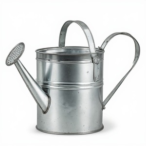 AYC METALS Heavy Duty Galvanized Steel Watering Can Customizable Capacity (1-10L) for Long-Lasting Indoor/Outdoor <b>Garden</b> - Product Image 1