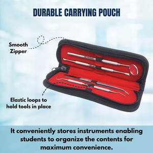 Kit de Limpieza Dental, Set de Instrumentos Quirúrgicos Dentales, 4 Piezas con Estuche, Removedor de Placa para Dientes, Profesional - Product Image 2