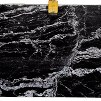 Dalles et carreaux de granit noir et blanc poli moderne de la Forêt-Noire, haute résistance, garantie 2 ans, fabricant et exportateur indien