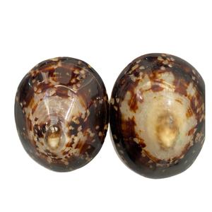 เปลือกหอยลิมเพ็ตระดับพรีเมี่ยมจากเวียดนามทำความสะอาดด้วยศิลปะเรซิ่นและโมเสค - Product Image 1