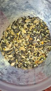 Chất Lượng Cao Hữu Cơ Bird Thực Phẩm Hỗn Hợp Cân Bằng Hạt Hạt Giống Cho Vẹt Budgerigars Cockatiels Lovebirds-OEM ODM Xuất Khẩu Cung Cấp - Product Image 4