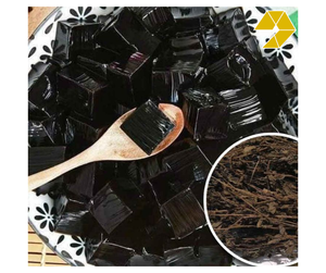 Poudre de gelée d'herbe noire du Vietnam, poudre de Mesona pour desserts rafraîchissants, ingrédient pour gelée et boisson à base de plantes, Halal - Product Image 1
