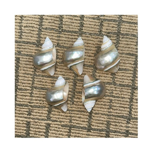 แหวนรองผ้าเช็ดปากเปลือกหอยคุณภาพสูงสำหรับตกแต่งโต๊ะอาหารริมชายฝั่งและตกแต่งบ้าน - Product Image 4