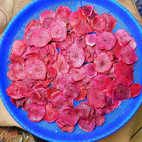 Vietnam Premium Hoge Kwaliteit Jackfruit Gesneden Gedroogd Knapperig Zoet Snack Bulk Natuurlijke Smaak 2-6mm VF Proces IIGLOBAL FARM Vacuüm