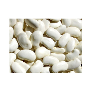 Haricots Blancs de Qualité Supérieure en Gros, Grade Alimentaire, Stock Prêt, Service OEM, Exportation - Product Image 3