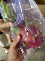 Zachtzoete, frisse, licht verfrissende smaak. Natuurlijk vers premium drakenvrucht OEM ODM export gezonde producten 100% natuurlijk diepvries.