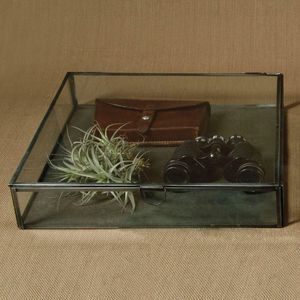 Caja de exhibición de vidrio con marco de metal y estuche de cuero marrón, binoculares y planta aeroponizada en el interior para almacenamiento y decoración - Product Image 1