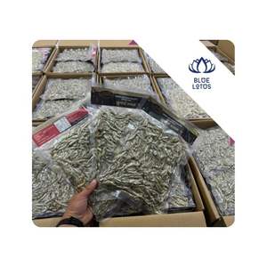 Anchoas secas disponibles para sopas y caldos, ingrediente de marisco utilizado para condimentar en cocinas de restaurantes en Vietnam. - Product Image 1