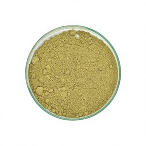 Poudre de Neem Végétale 100% Naturelle et Pure de Qualité Alimentaire, Fourniture en Gros OEM ODM, Meilleure Vente pour le Soutien Immunitaire et Digestif - Product Image 2