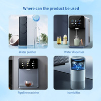 Purificateur d'eau UVWORKS DC12V/24V IP54, module LED UVC, débit d'eau 1LPM, système RO, purification de l'eau