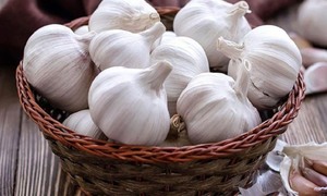 Vietnam Ail Nouvelle saison Ail blanc frais Vente en gros Prix compétitif de qualité normale - Product Image 3