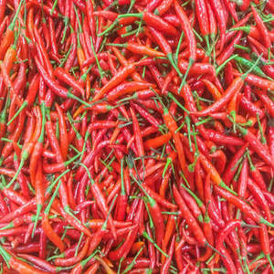 Chile Rojo Seco Entero 100% Puro y Natural de FitTree International para Mercados Internacionales - Product Image 6