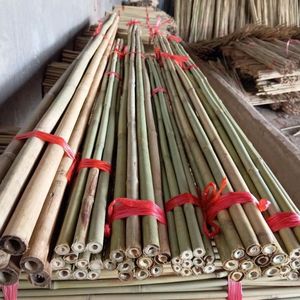 Canne de bambou légère et robuste pour le soutien des plantes et la construction, facile à installer, Vietnam - Product Image 2