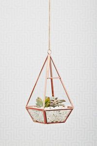 Terrario Geométrico Personalizado de Metal y Vidrio, Macetero de Vidrio en Forma de Cabaña para Plantas de Interior, Suculentas, Plantas Aéreas y Terrarios DIY - Product Image 5