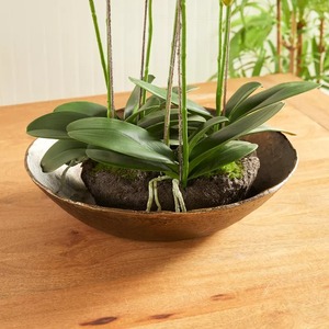 Most Wanted Handmade Modern Eco-Friendly Tabletop Vase Black Aluminum Holds Water Decorative <b>Bowl</b> - Product Image 2