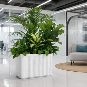 Jardinera Rectangular de Fibra de Vidrio con Nervaduras Blancas, Moderna, para Exteriores, 90x40x60cm, ¡Oferta! - Product Image 6