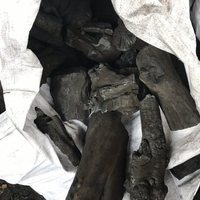 Charbon de bois de café à haute teneur en carbone fixe du Vietnam pour barbecue, faible humidité, faible fumée