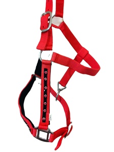 Licou de corde de Style anglais de haute qualité pour chevaux dernière conception avec des couleurs assorties perles de Sier fabriquées à la main cristaux de strass - Product Image 2