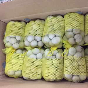 Servicio de Alimentos: Longan Congelado, Procesamiento Limpio - Product Image 1