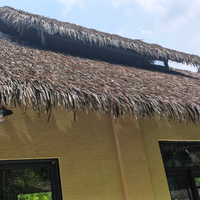 Césped Artificial Resistente al Fuego de Fácil Instalación, Techo de Paja Sintética, Rollo de Césped Sintético para Resorts