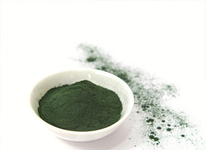 PREMIUM QUALITY IRISH MOSS POWDER | BULK PACKAGING SEA MOSS EXTRACT FOR HEALTH SUPPLEMENTS - Product Image 2
