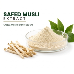 Safed Mulsi <b>Root</b> Powder (Chlorophytum borivilianum) Natural Booster Sports Nutrition Herb Bulk OEM India - Product Image 1