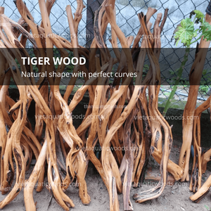 Madera flotante natural Thanh Tung Thinh para decoración de acuarios, forma irregular, madera duradera para peceras, origen Vietnam - Product Image 6