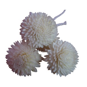 Bán Buôn Nhà Hương Thơm Khuếch Tán Hương Thơm Trang Trí Nội Thất Hoa Reed Khuếch Tán Sola Juhi Fower Handmade Sola Gỗ Hoa - Product Image 1