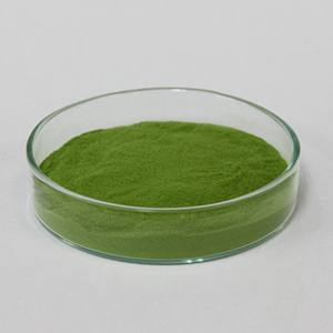 Barley <b>Grass</b> Heat Treated Extract Juice Powder Food Supplement Grade Ingredient Raw Material Aojiru Organically Grown Japan - Product Image 1