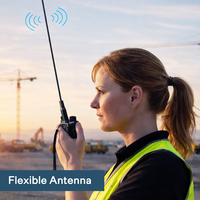 Antenne flexible 865-870 MHz