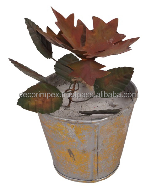 Natural Multi Colour