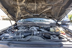 Ford F-250 Super Duty Platinum Tremor 4x4 2022 - Product Image 5