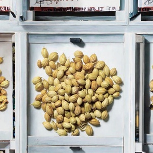 Premium Indian Eagle & Scooter Whole Coriander Seeds 99.5% Purity, Machine Cleaned, <b>Pesticide</b>-Free from Farms - Product Image 2