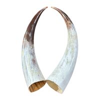 Corne à boire artisanale très demandée, style viking, pour les amateurs de bière et d'ale, disponible au prix d'usine en provenance d'Inde.