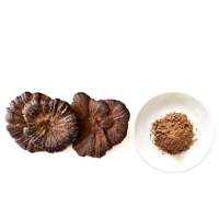 Poudre d'extrait de champignon Reishi 30% polysaccharides pour infusion
