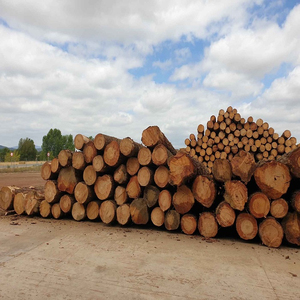 Fournisseur en gros de bois de pin de qualité supérieure pour meubles, revêtements de sol, portes et acheteurs internationaux - Product Image 1