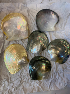 Pearl Of Mother Shell Plate Iridescent Vietnam Material For Decorative Crafts Jewelry Inlay Plate Manufacturer Size 10-12cm - Product Image 6
