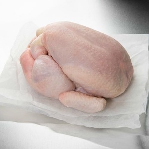 Export Halal Certified Frozen Whole <b>Chicken</b> Available for Sale for Wholesale Best Cheap Price for Sale - Product Image 5
