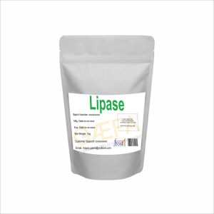 Polvo de Lipasa 2-01 para Alimentación Animal, Mejora la Digestión de Grasas, Aplicaciones en Aves de Corral, Cerdos y Acuicultura, Excelente Durabilidad - Product Image 3
