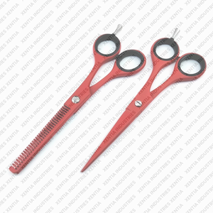 Ciseaux professionnels pour la perte de cheveux, 2 pièces, 6 pouces, ciseaux de coiffure pour salon de coiffure, instrument professionnel en acier inoxydable - Product Image 4
